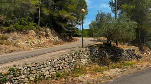 Terreno urbanizable en ptda Coll de Lalba Tortosa, imatge 5