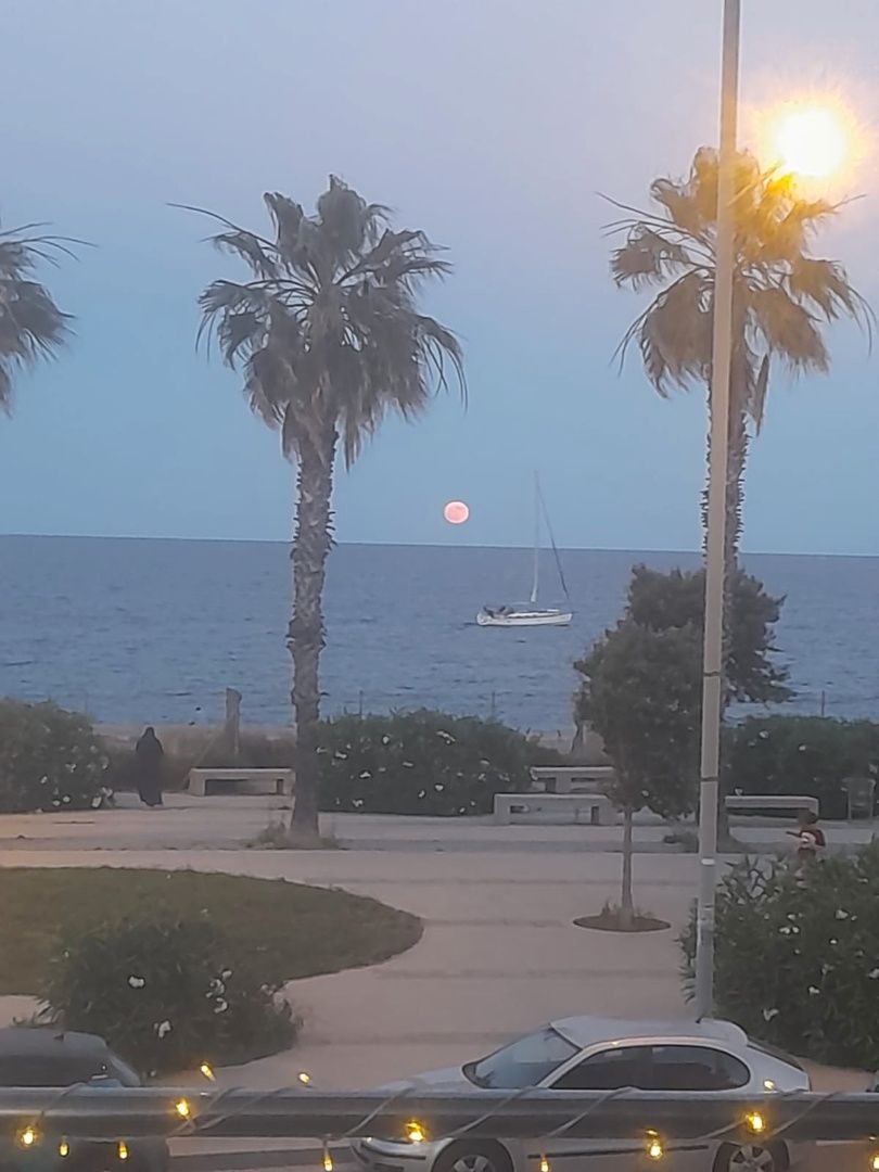 Vista exterior de Pis en venda en Badalona amb Calefacció, Terrassa i Piscina
