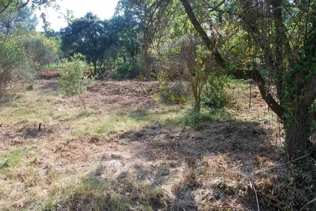 Terreny rústic en venda a Sant Celoni, imagen 9