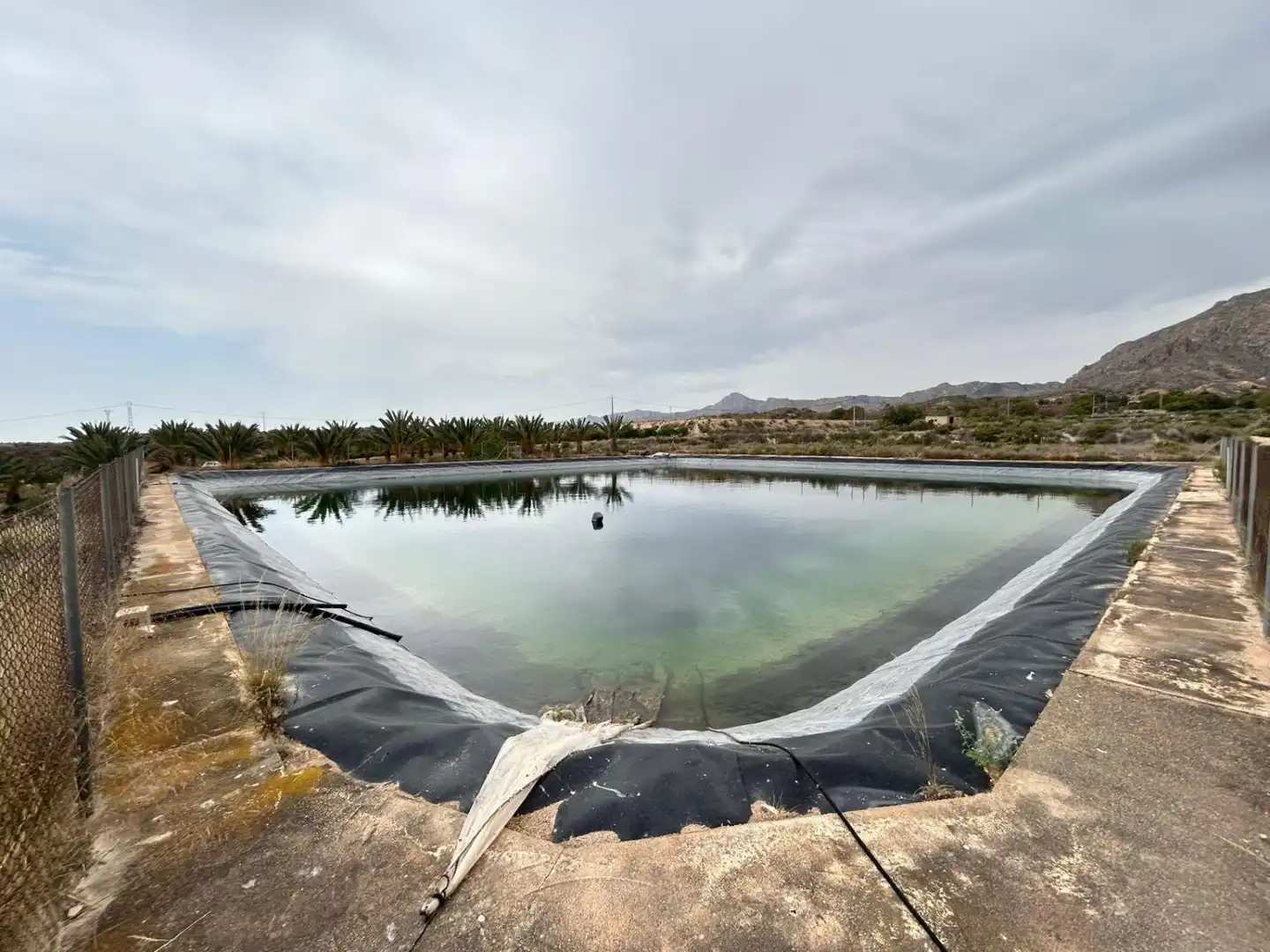 Landhaus mit Pool zum Verkauf in Albatera, imagen 9