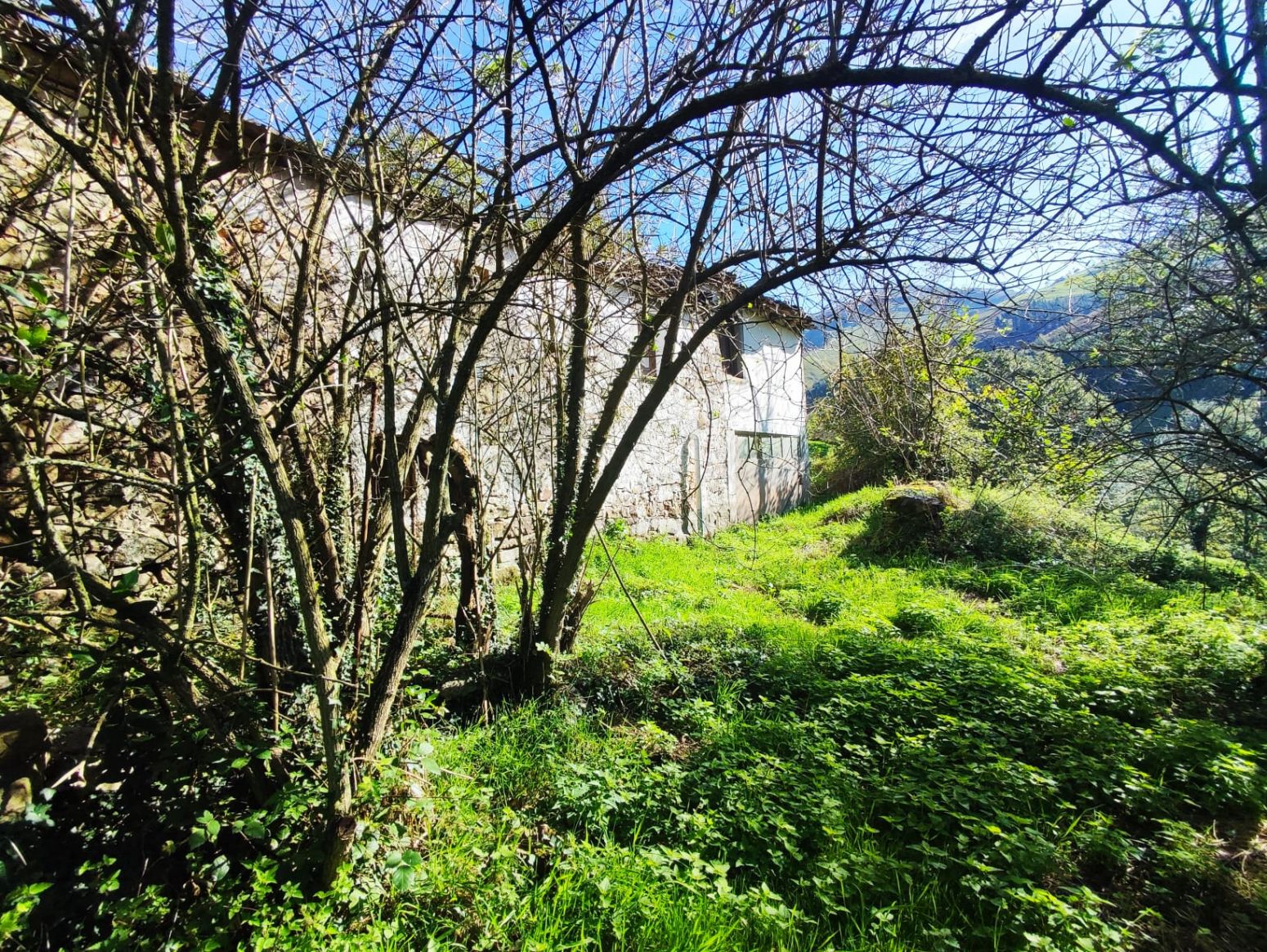 Casa o xalet en venda en Selaya