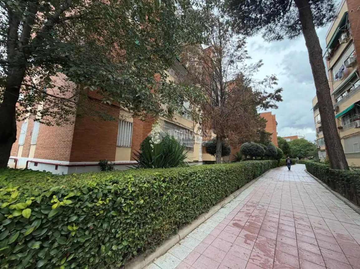 Piso con ascensor en venta en Av. de la Constitución, imagen 3