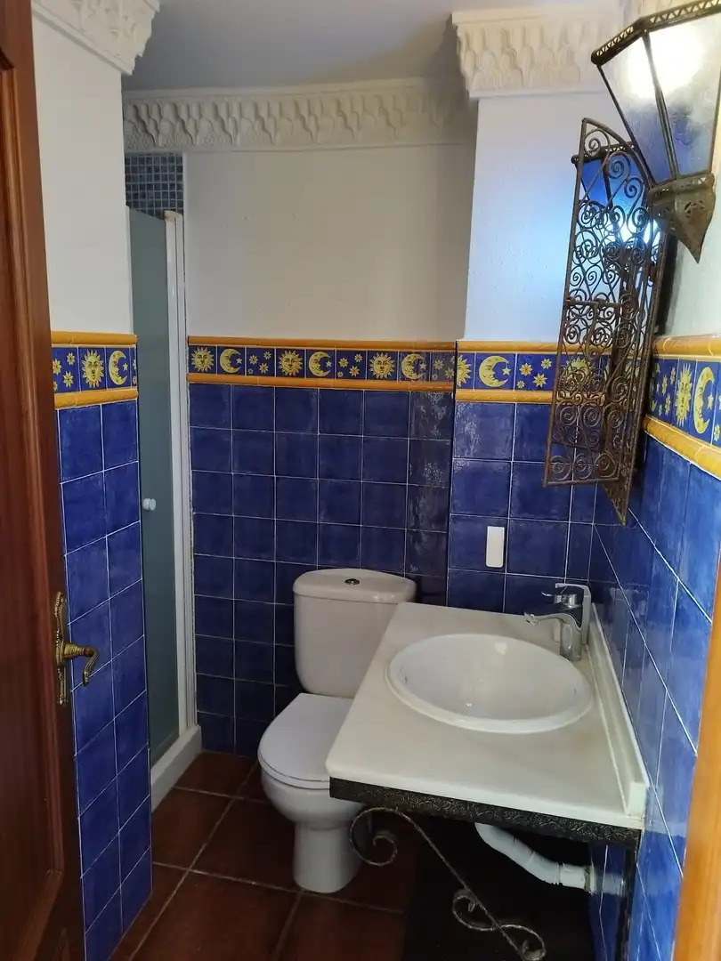 Appartamento con ascensore in affitto a Casco Antiguo, imagen 49