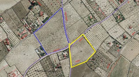 Land in Sax, imatge 3