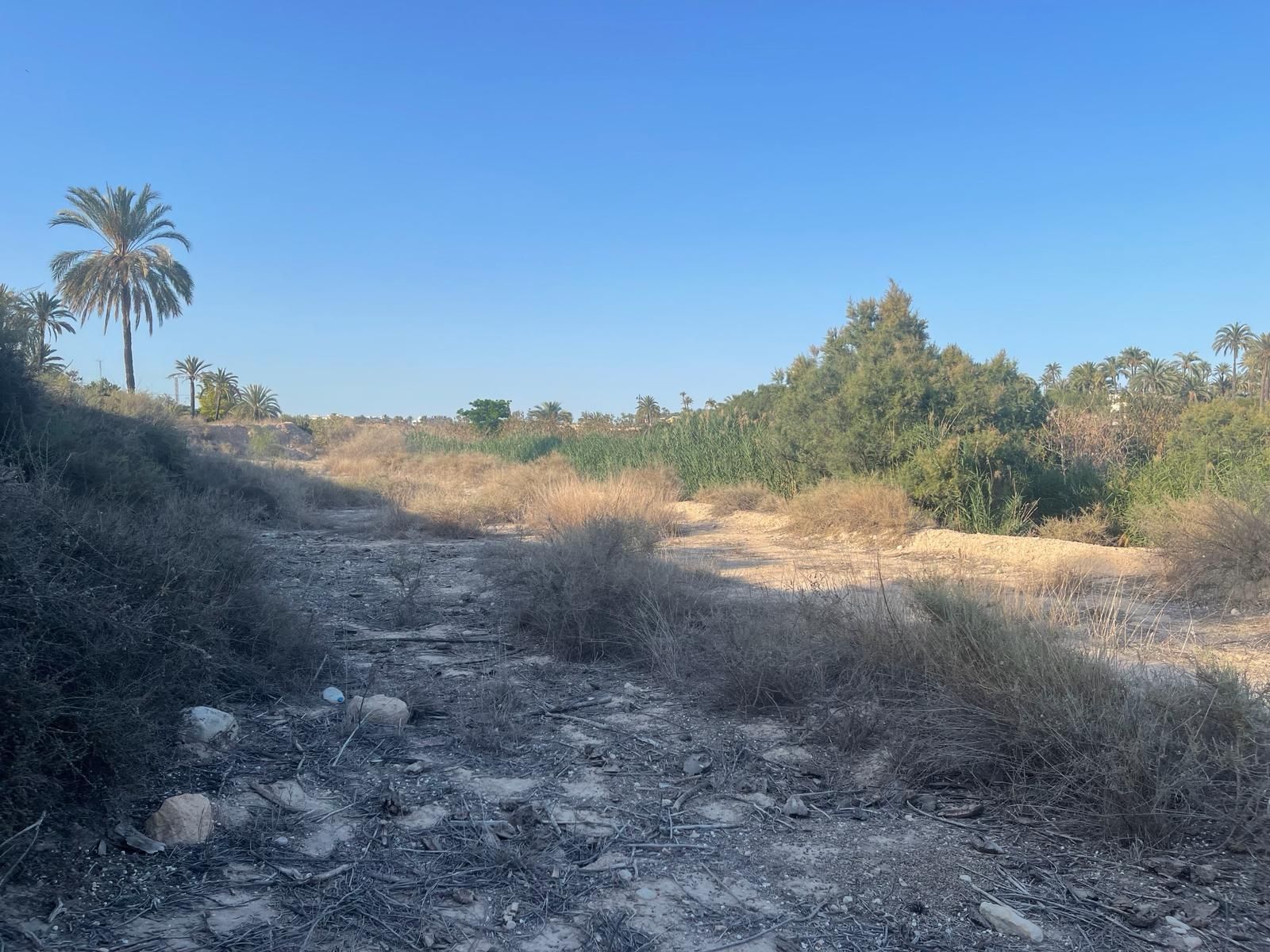 Terreny industrial en venda en Elche / Elx