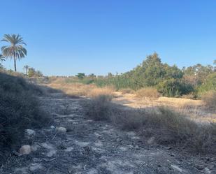 Industrial land for sale in Elche / Elx