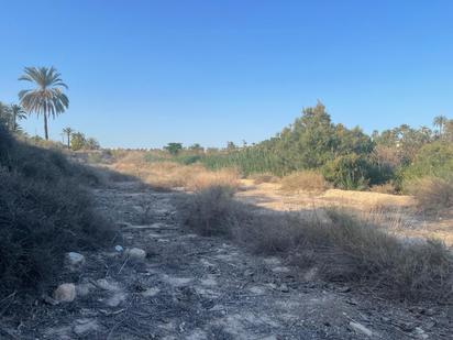 Industrial land for sale in Elche / Elx