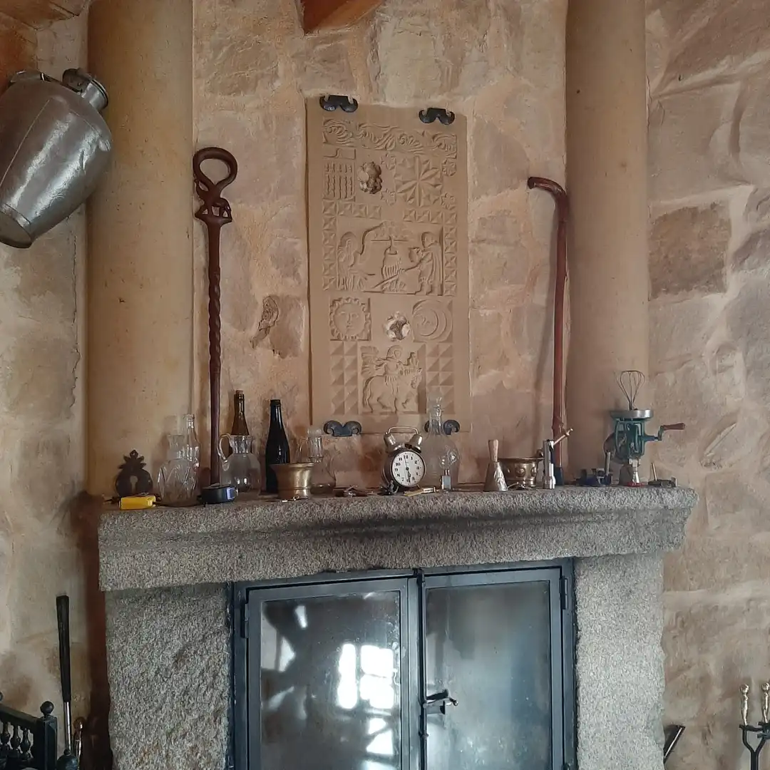 Casa rústica con jardín en venta en Santa María la Real de Nieva, imagen 4