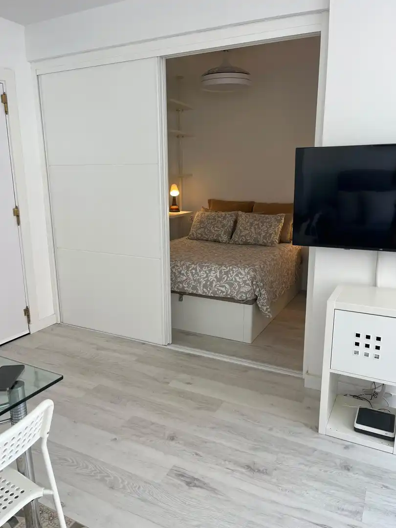 Mini appartamento in affitto a Calle RIO ARANDA, imagen 14