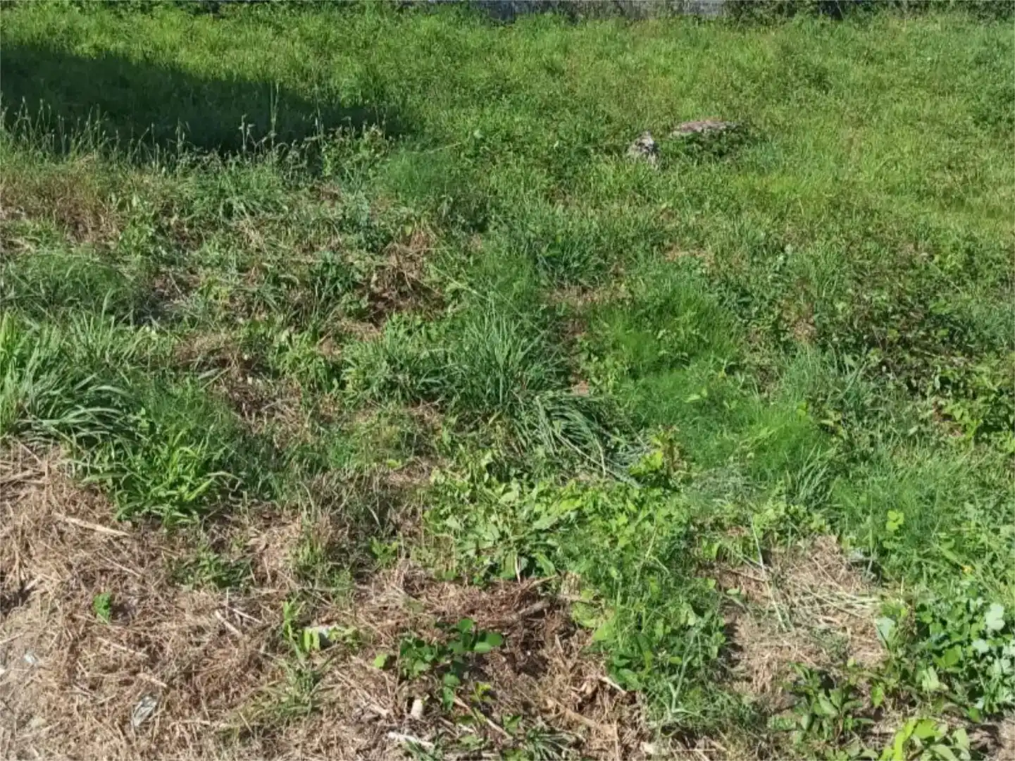 Terreno en venta en Ramirás