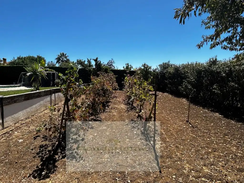Casa rústica en venda a Setenil de las Bodegas, imagen 13