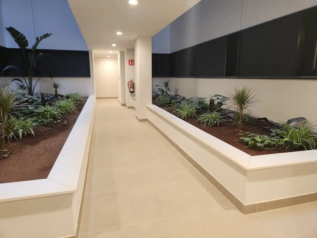 Flat for rent in Tamaraceite