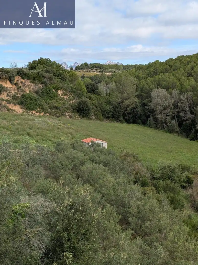Finca rústica en venta en Sant Llorenç d'Hortons con Terraza