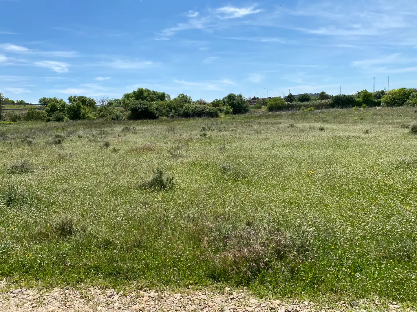 Rural land for sale in Plaza Diego Camporredondo 1, imagen 3