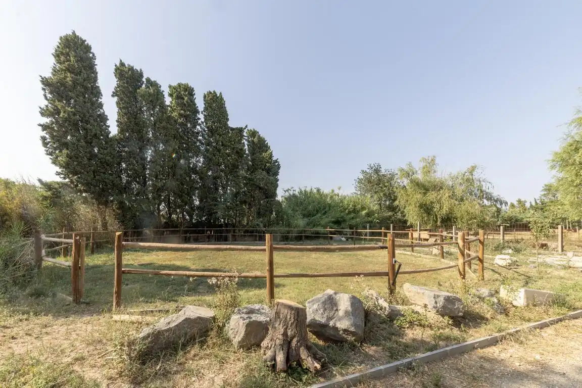 Rural land for sale in Carretera, imagen 18