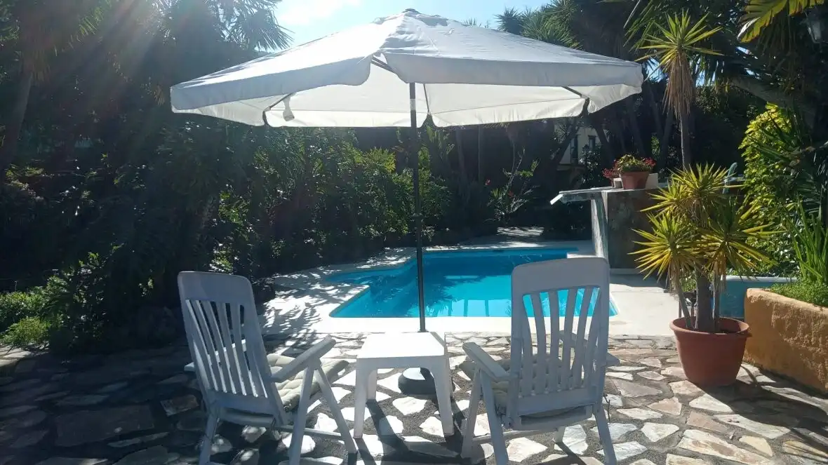 Piscina de Finca rústica en venda en Icod de los Vinos amb Terrassa