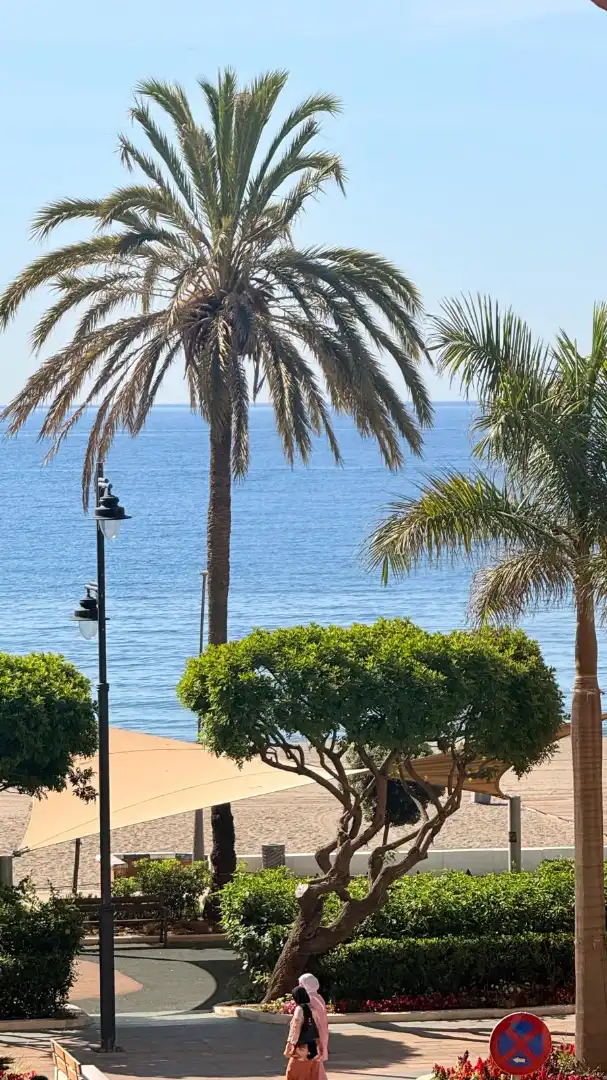 Vista exterior de Pis en venda en Estepona amb Aire condicionat, Calefacció i Terrassa
