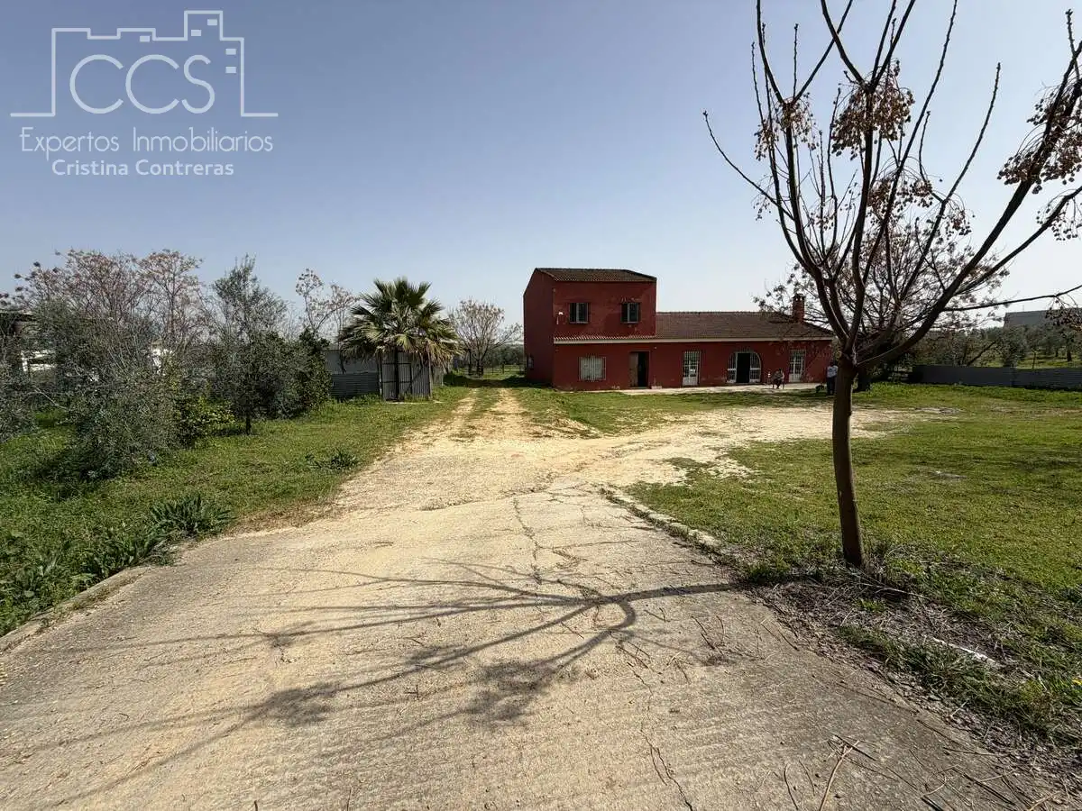 Landhaus mit Pool zum Verkauf in Pilas, imagen 6
