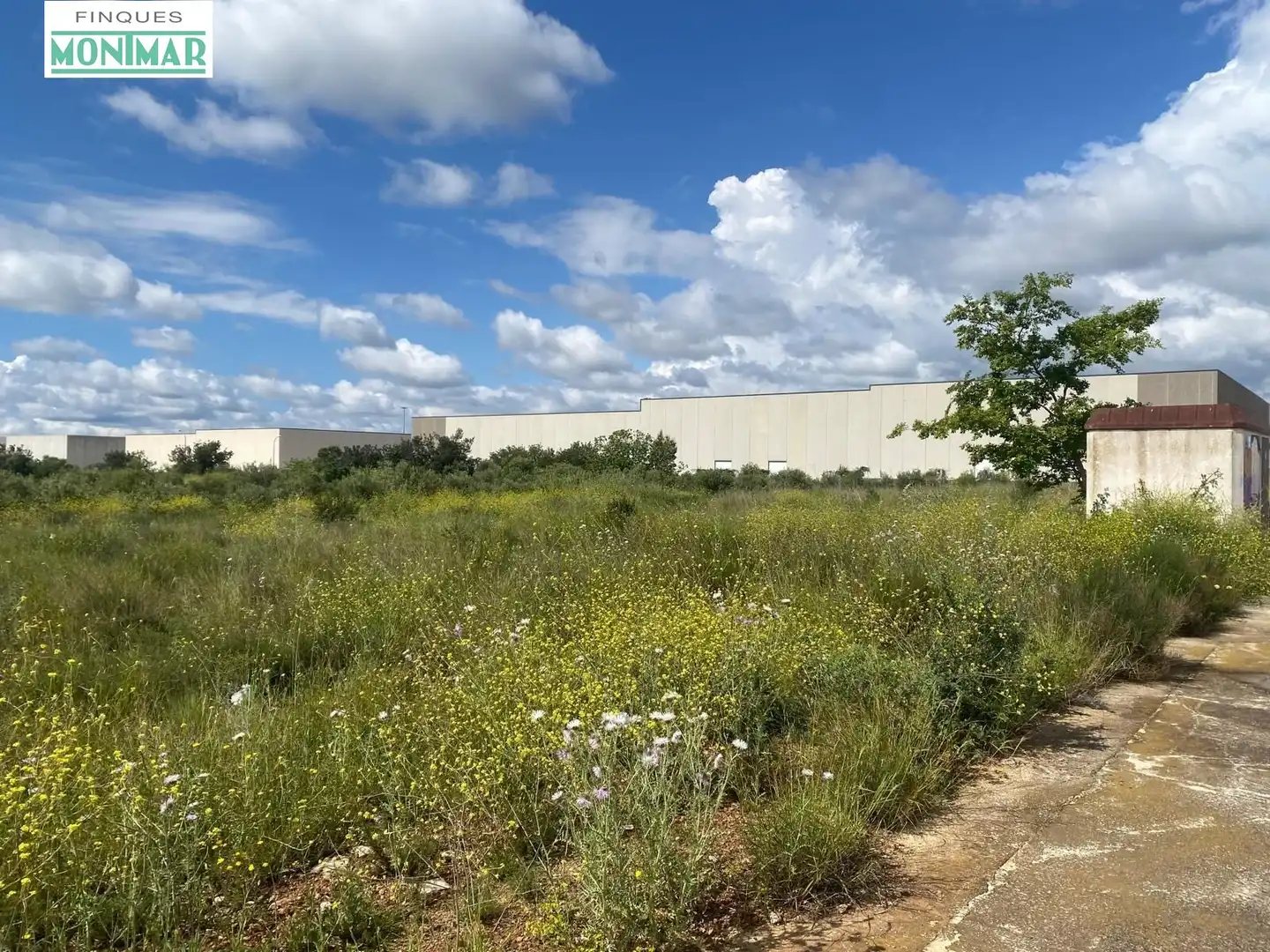 Terreno industriale in vendita a Valls, imagen 6
