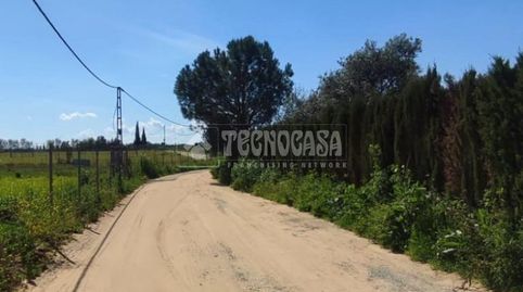 Photo 5 of Land for sale in Oromana, Alcalá de Guadaira