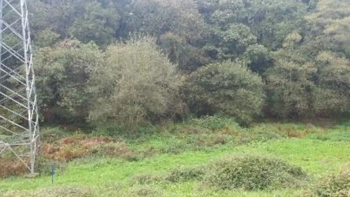 Terreno rustico in vendita a Lugar Carrionina, imagen 8