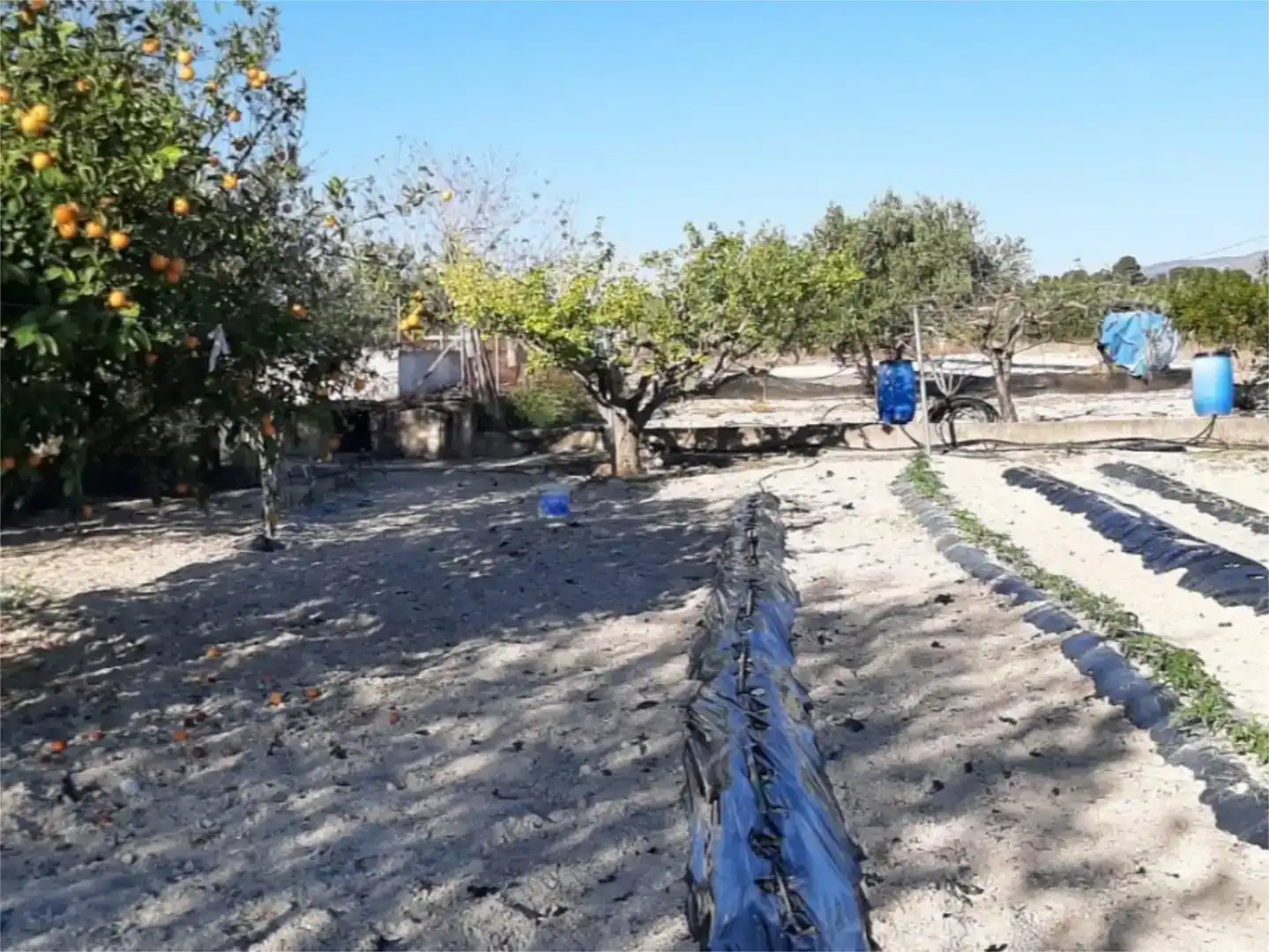Finca rústica en venda en Albaida amb Piscina