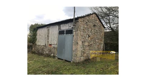 CASA RUSTICA EN NUCLEO CON FINCA Y VARIAS EDIFICACIONES, imatge 3