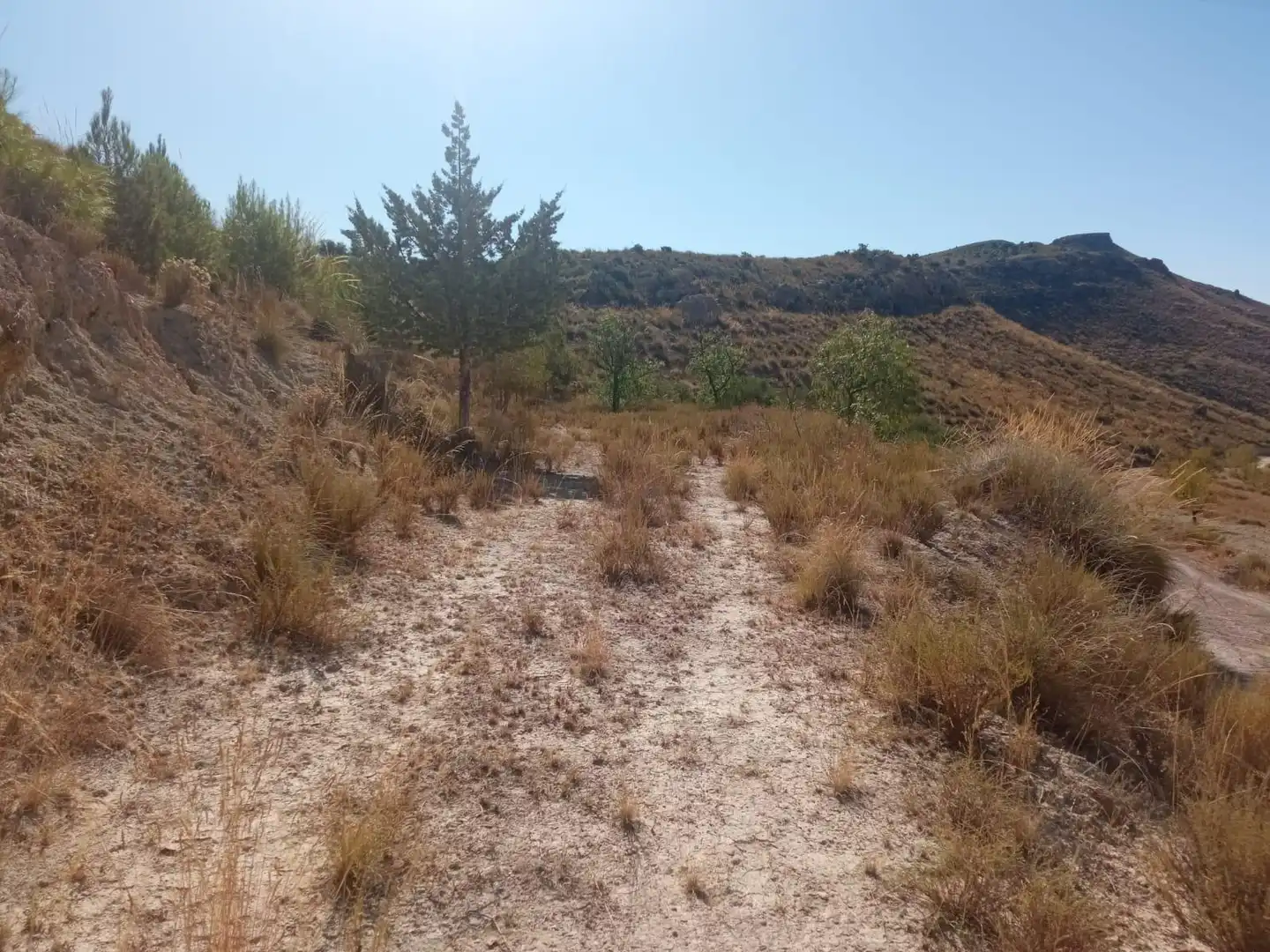 Terrains et parcelles à vendre à Pedanías Norte, imagen 26