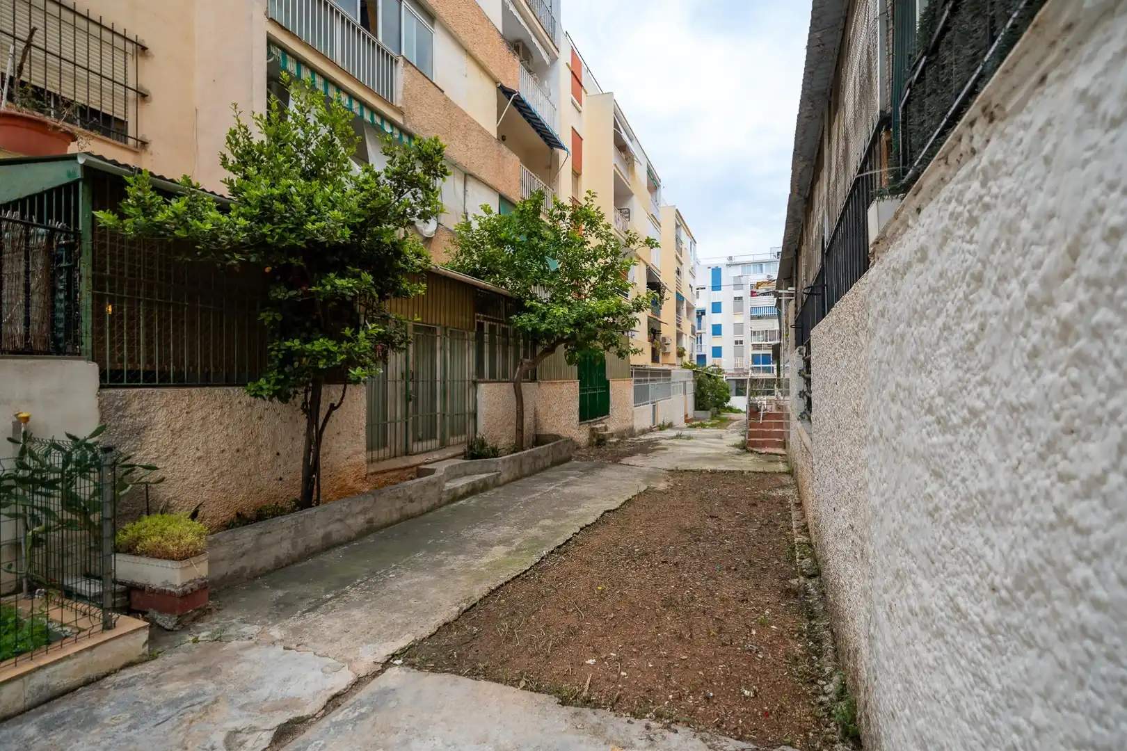 Vista exterior de Planta baja en venta en  Palma de Mallorca con Terraza y Trastero