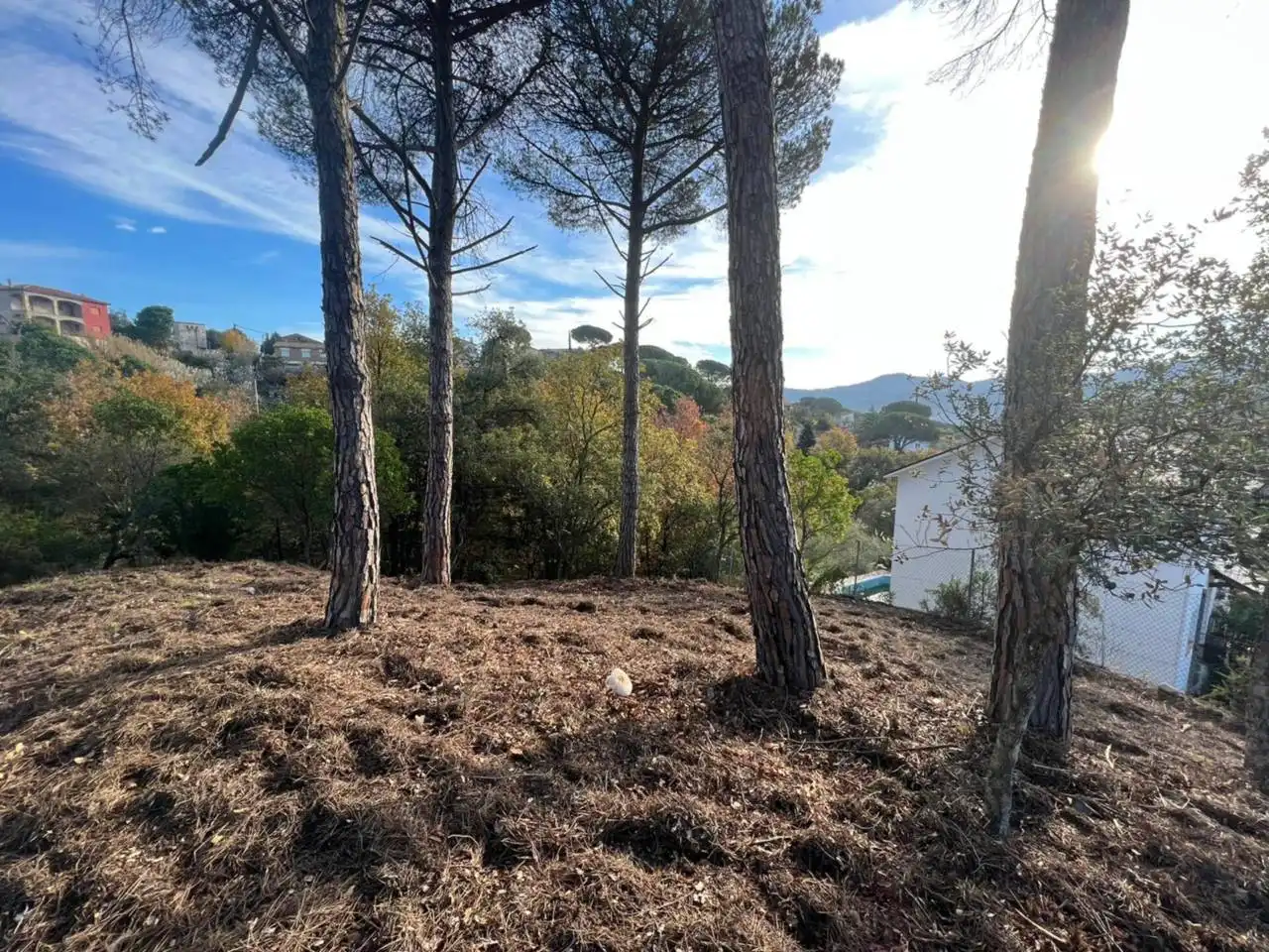 Terreno rustico in vendita a Calle Riells I Viabrea, imagen 2