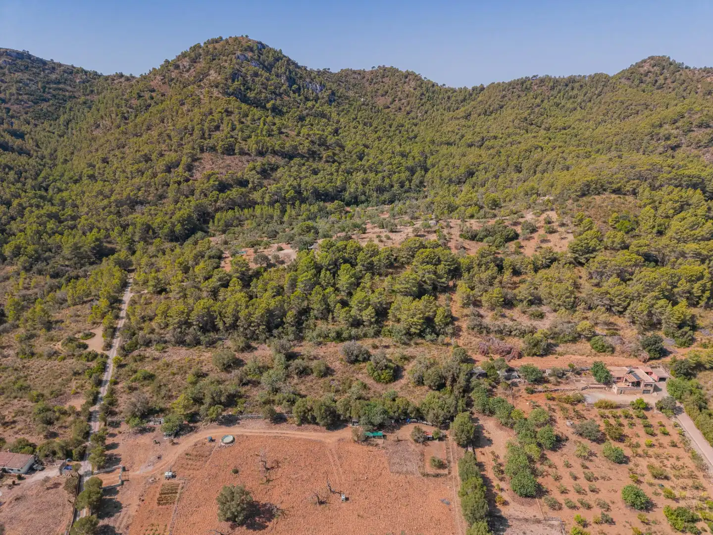 Rural land for sale in Son Servera Poble, imagen 7