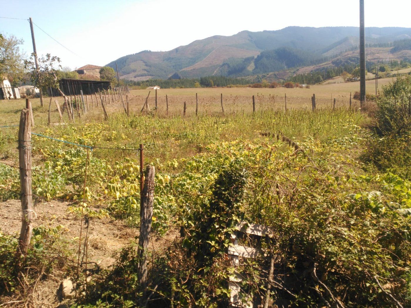 House or chalet for sale in Artziniega