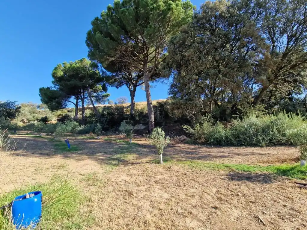 Terreno en venta en Binaced