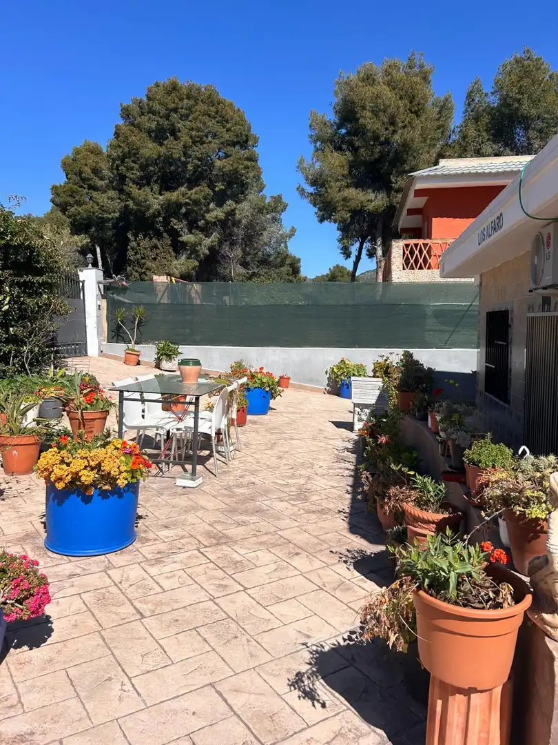 Chalet en venta en Calle PLA DE PAVIA, imagen 9