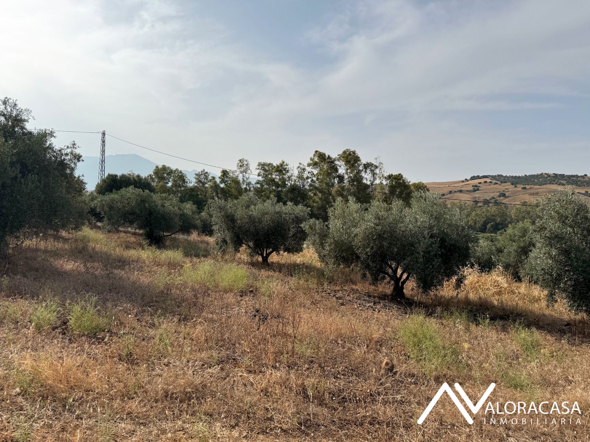 Land for sale in Coín
