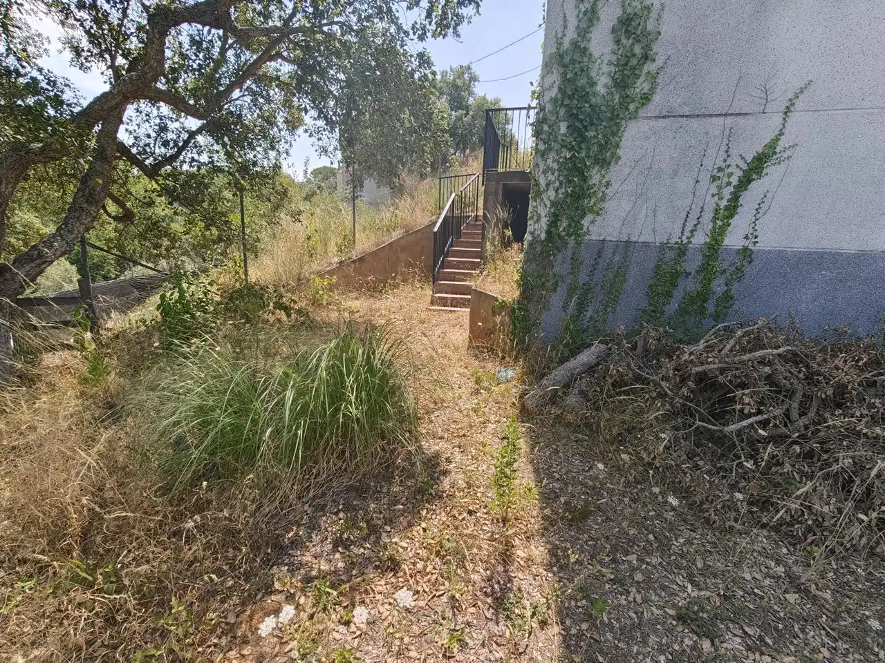 Haus mit Garten zum Verkauf in calle Eucaliptus, imagen 38