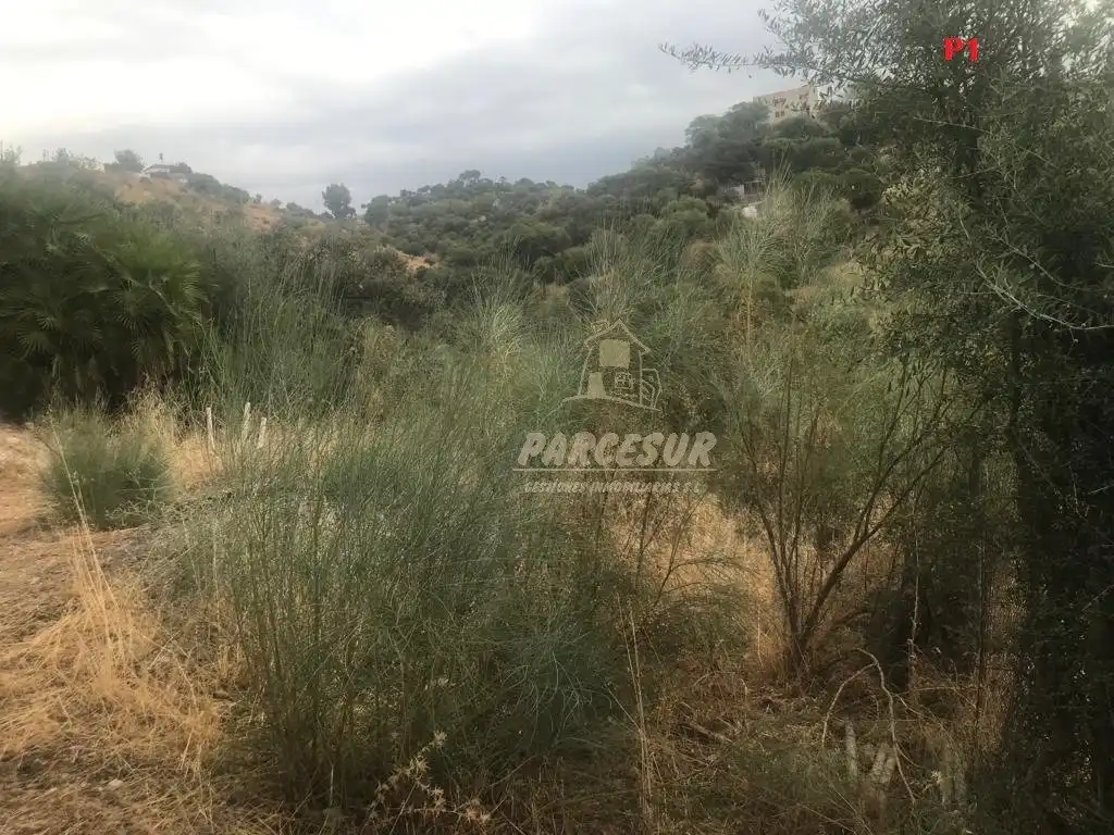 Residential land for sale in Almodóvar del Río, imagen 3
