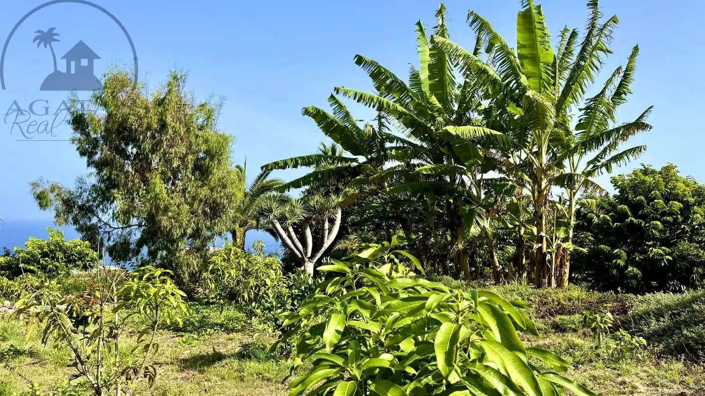 Finca rústica en venda en Buenavista del Norte amb Jardí privat i Terrassa