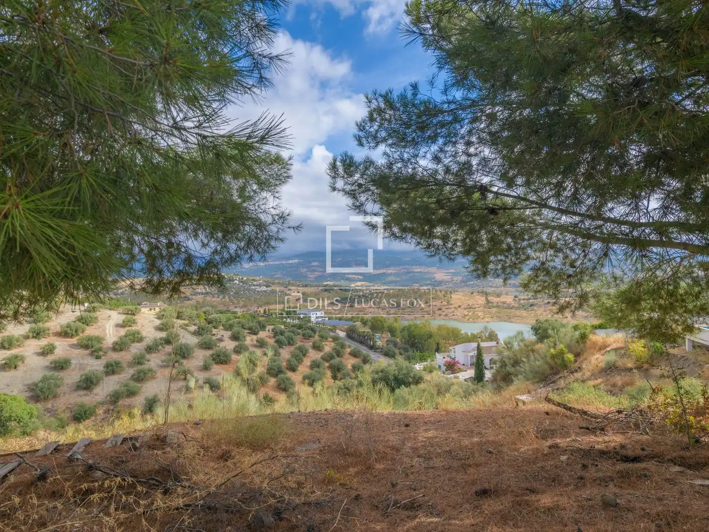 Finca rústica en venda en Viñuela amb Jardí privat i Piscina