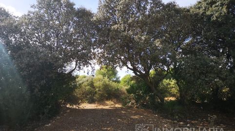 Foto 4 de Casa o chalet en venta en Partida Malara, Centro, Alhaurín El Grande