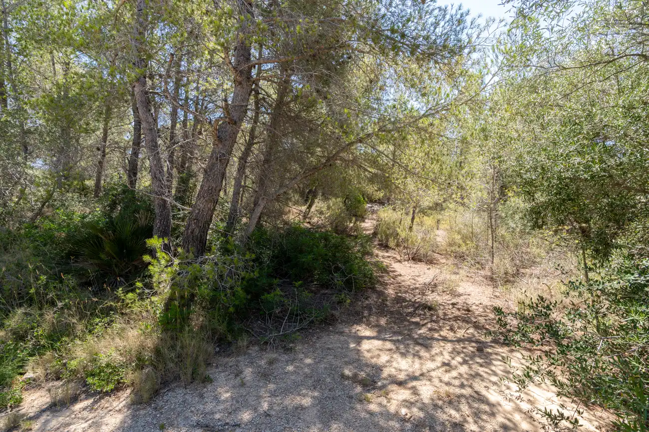 Terreno en venta en L'Ametlla de Mar 