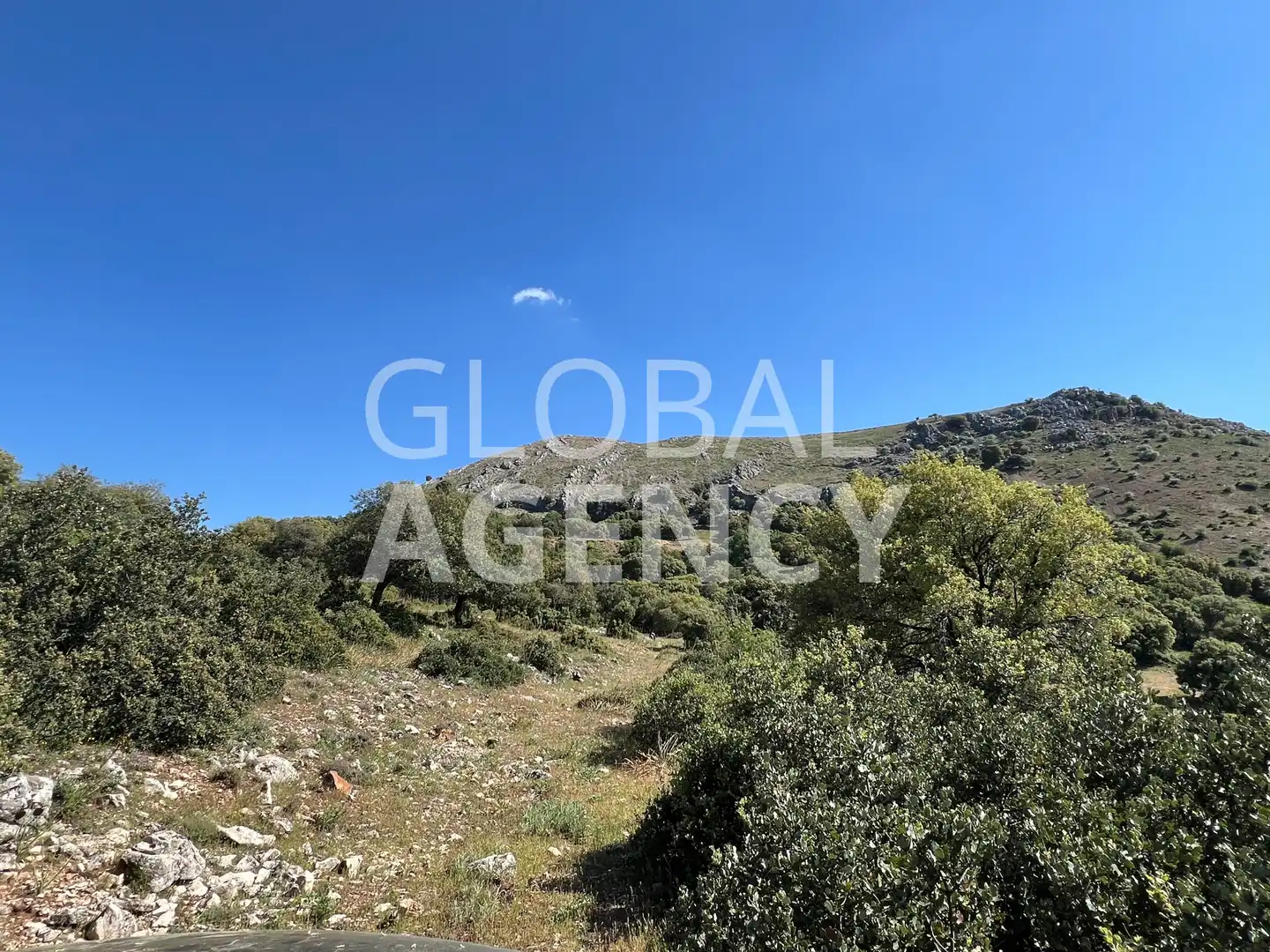 Terreny en venda en Jaén