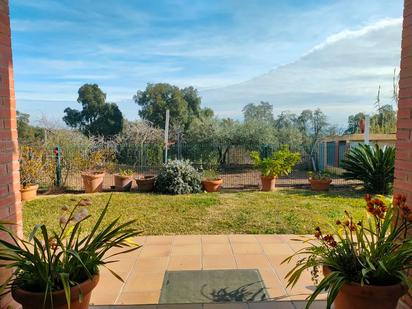 Jardí de Casa o xalet en venda en Riudarenes amb Jardí privat i Terrassa