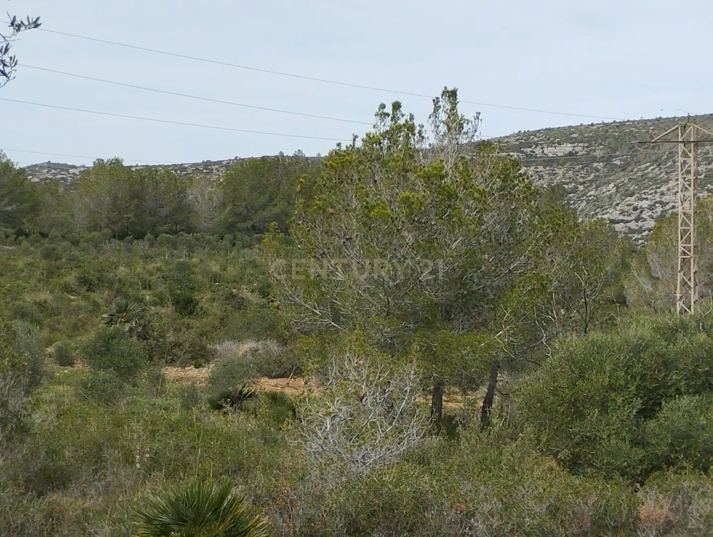 Terreny rústic en venda a poligono 3, imagen 17