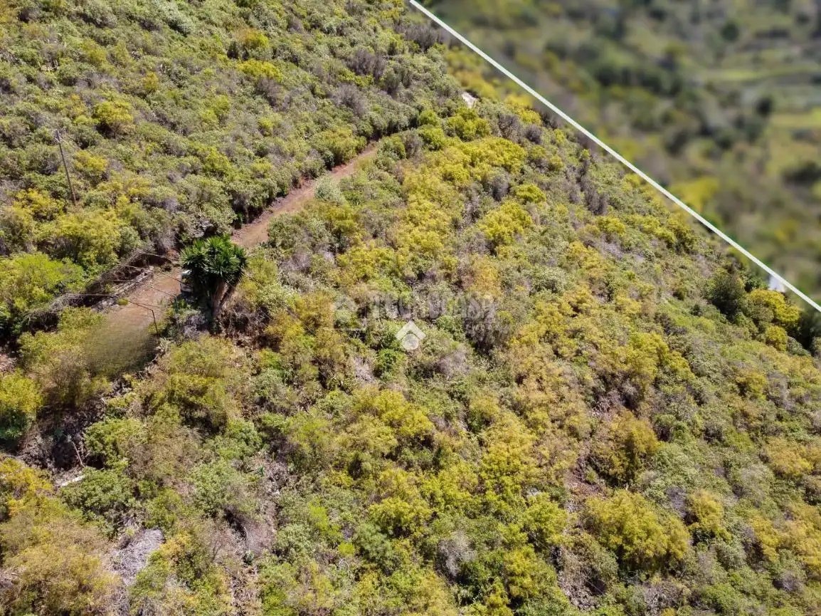 Finca rústica en venta en La Orotava con Parquet