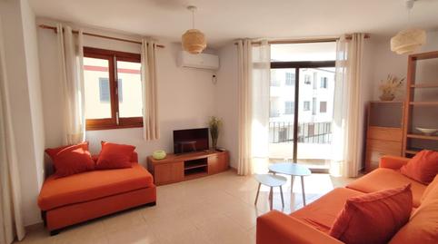 Photo 2 of Apartments for rent in Port de Pollença, Pollença