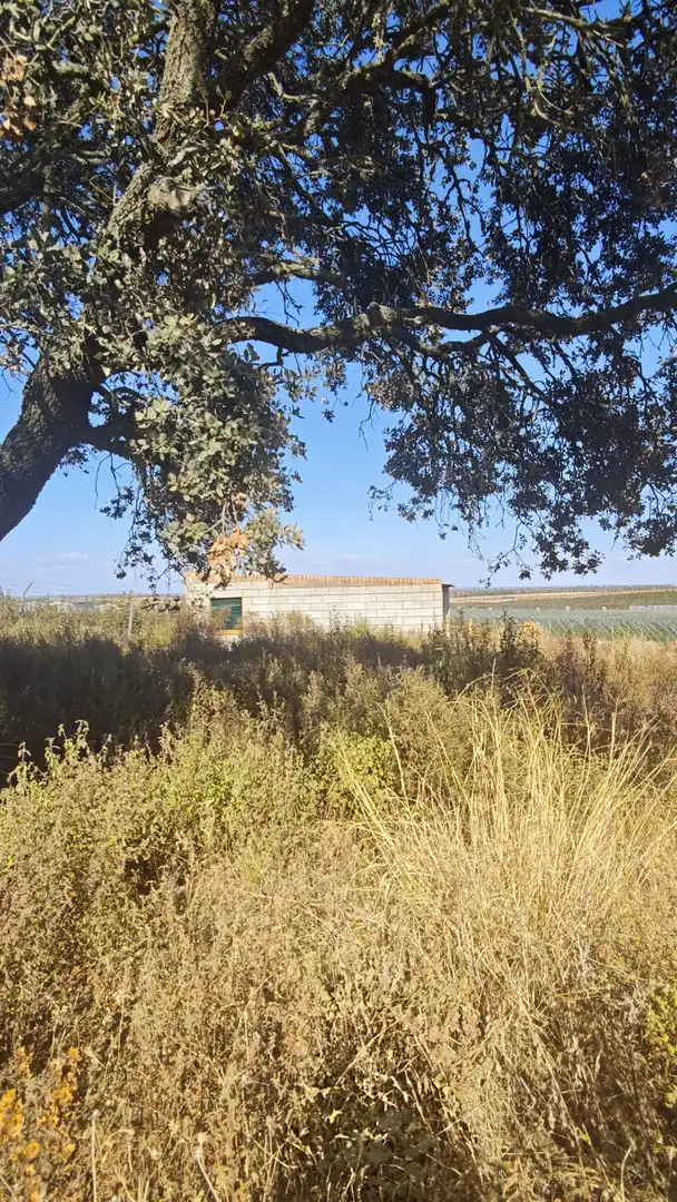 Terreni e lotti in vendita a Villablanca, imagen 9