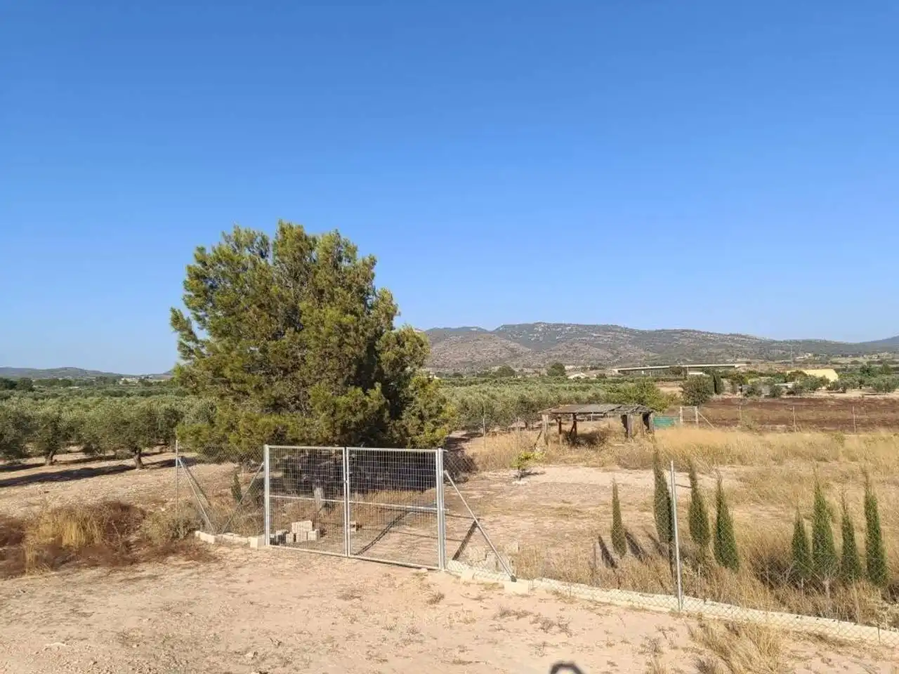 Residential land for sale in Sax, imagen 7