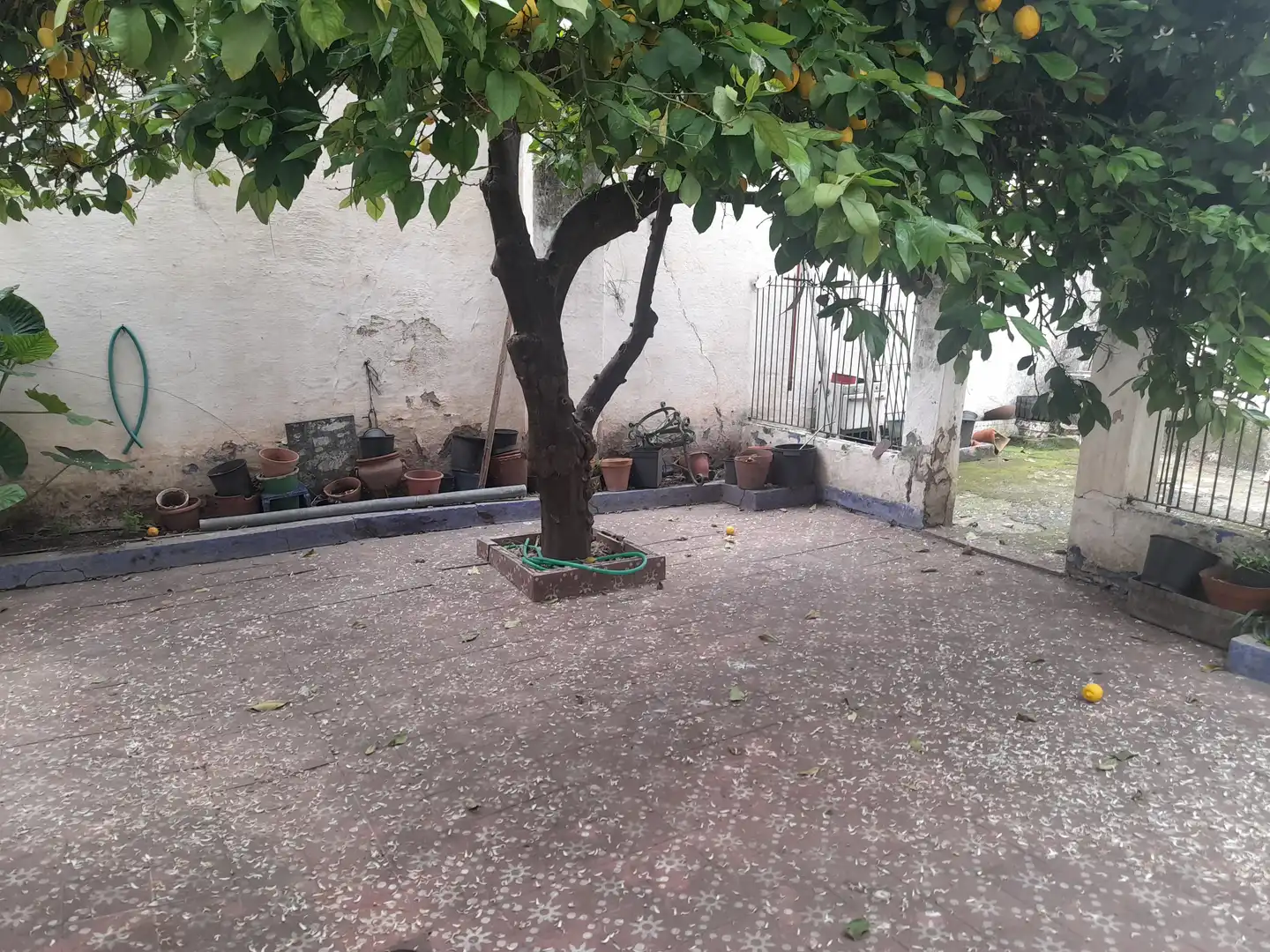 Jardí de Casa o xalet en venda en La Algaba amb Calefacció, Moblat i Rentadora