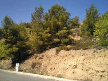 Rustikales Grundstück zum Verkauf in L'Alcora